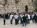 Познавательные туры в Израиль